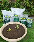 Caraguatatuba | Terra Adubada